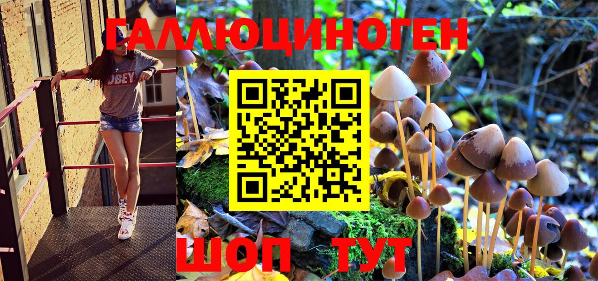 Галлюциногенные грибы Magic Shrooms  Вход с VPN  Волжский 